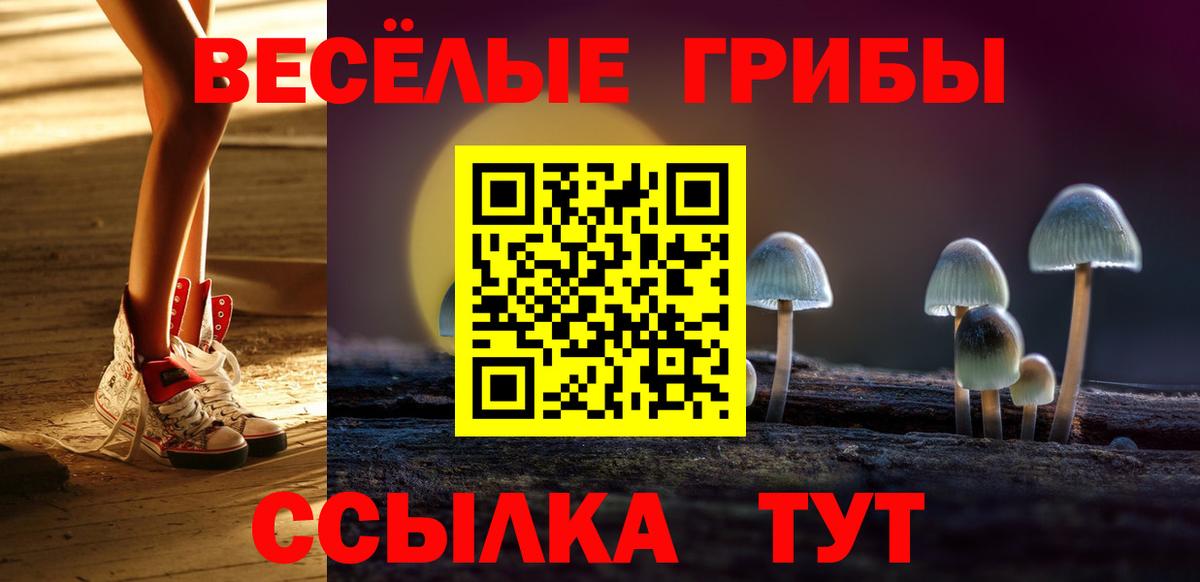 Галлюциногенные грибы прущие грибы  Псилоцибиновые грибы Magic Shrooms  цена   Михайловск  Вход с VPN 