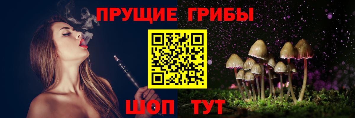 Галлюциногенные грибы Psilocybe Михайловск