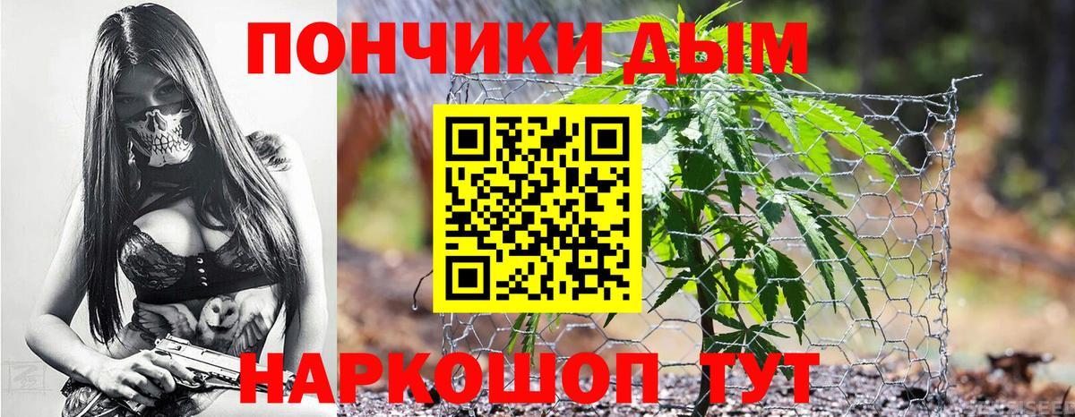 Бошки Шишки THC 21%  Вход с VPN  Бошки марихуана сатива  Конопля семена  Михайловск  Канабис MAZAR 